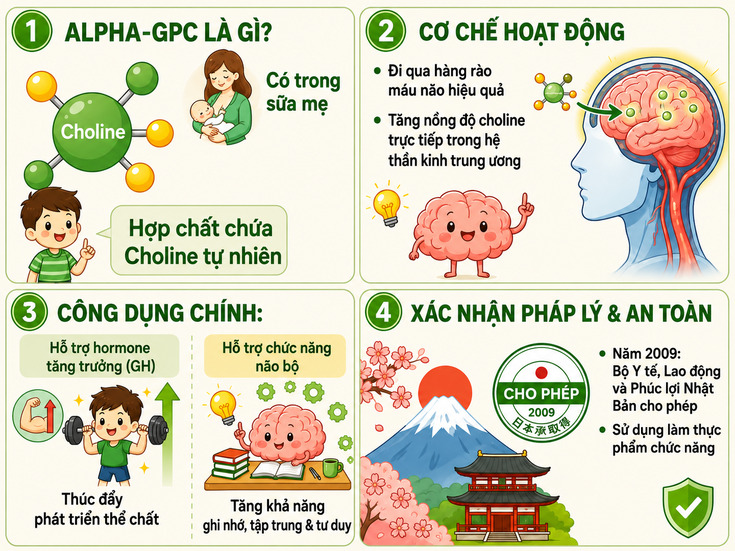 Oalpha-gpc-la-gi.jpg